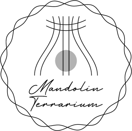 logo_mt.jpg